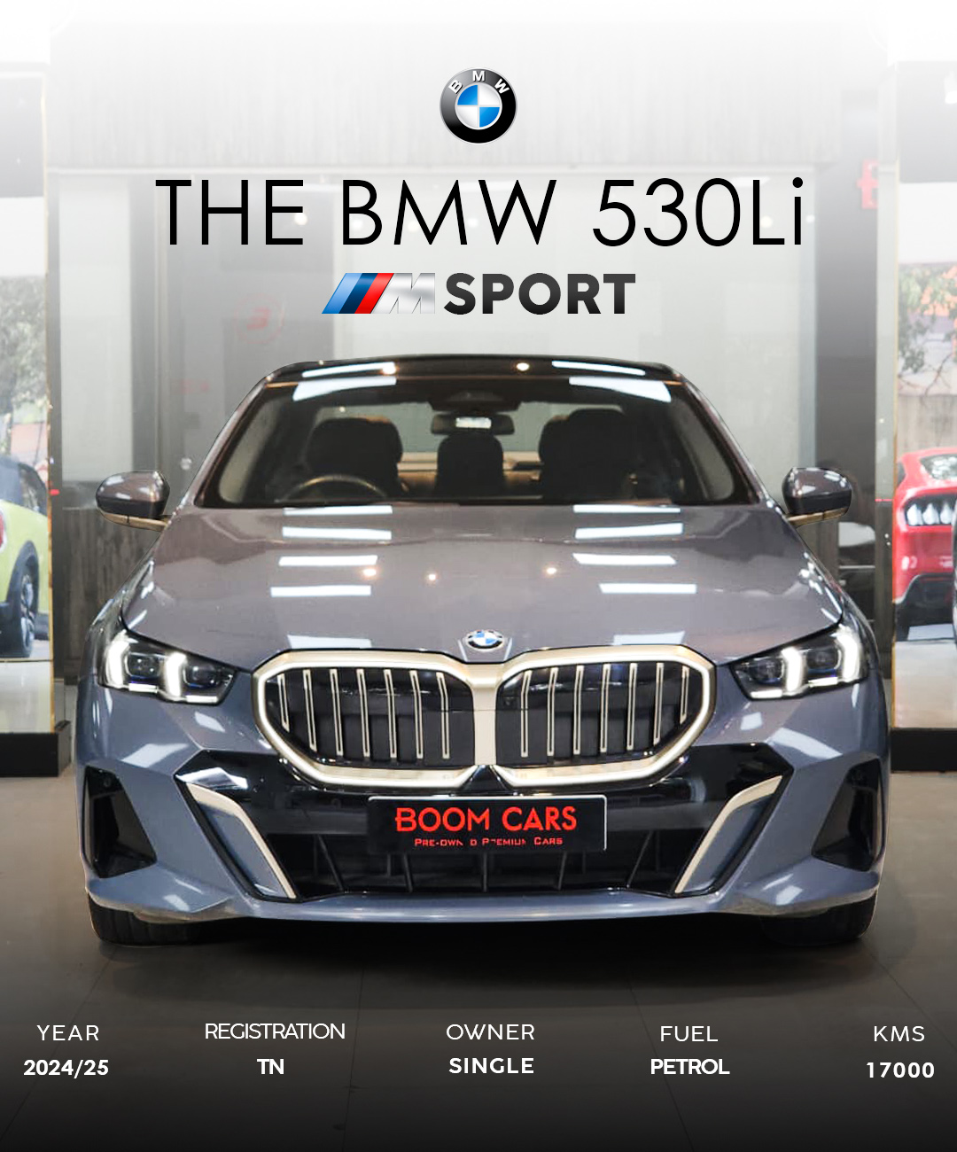 BMW 530Li M-SPORT